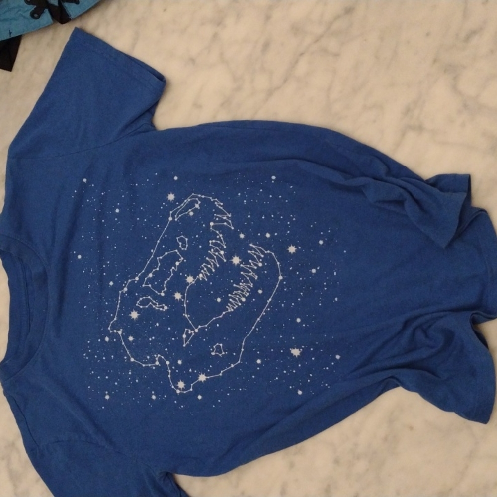Blue T-Rex T-shirt youth XL